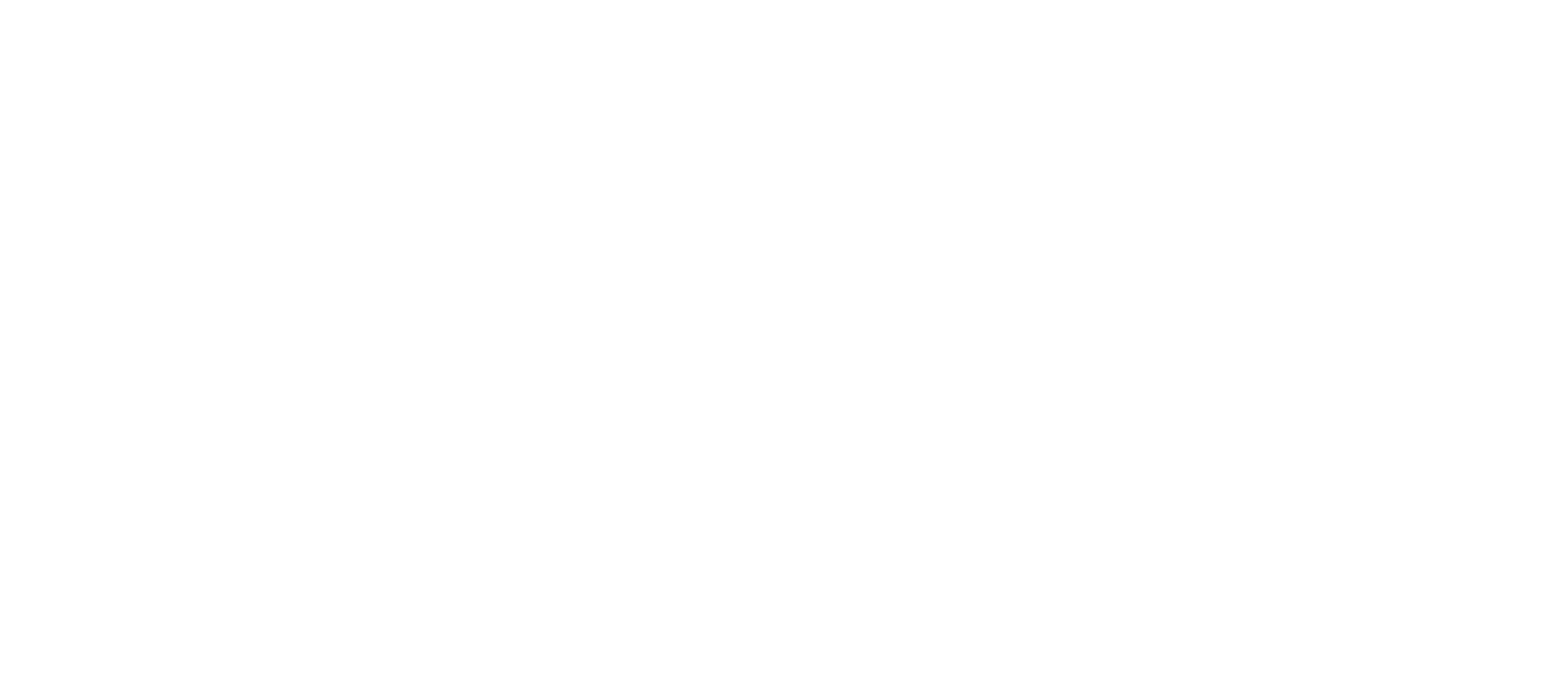 Promo Only logo
